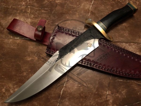 61366760_2369140623329619_7348896889808355328_n